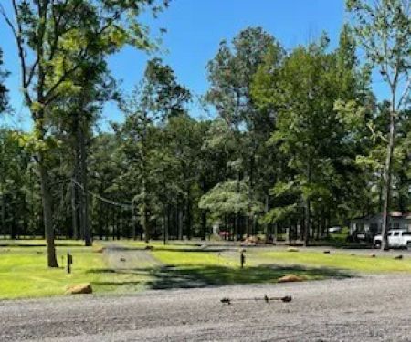 Forestry Department