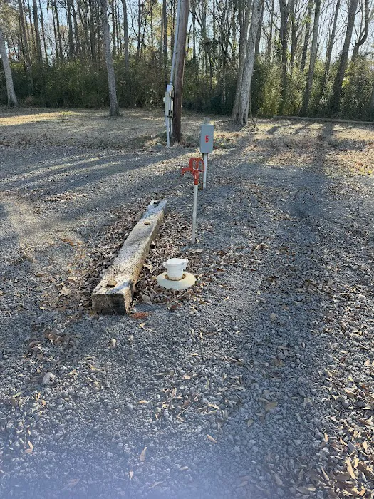 Forestry Department 5