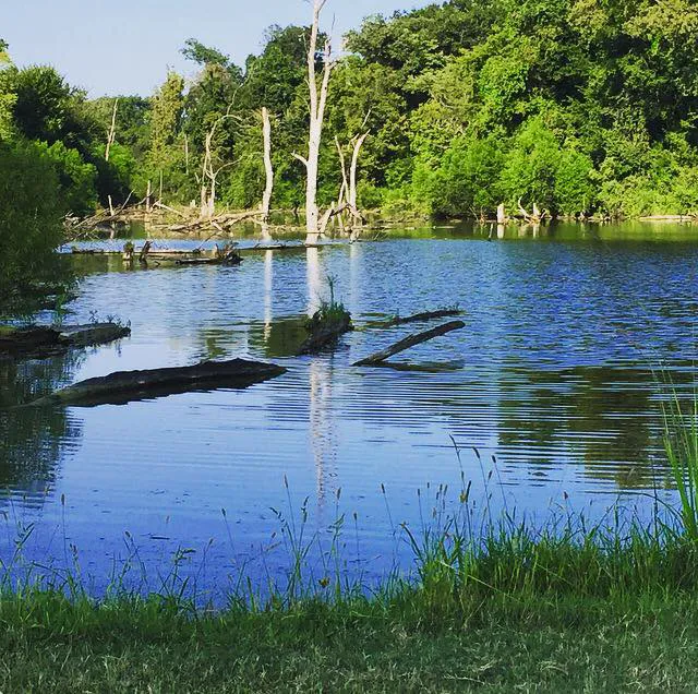 Piney Creek RV Park 2