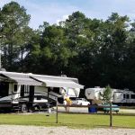 Longleaf Piney Resort