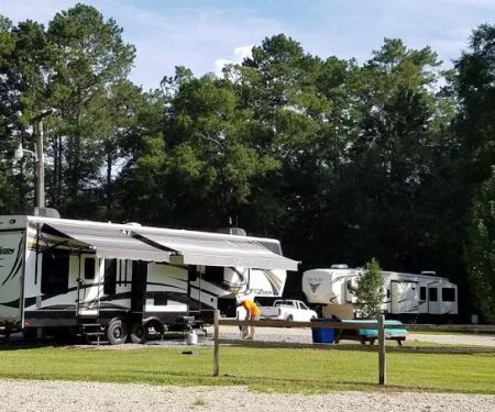 Longleaf Piney Resort