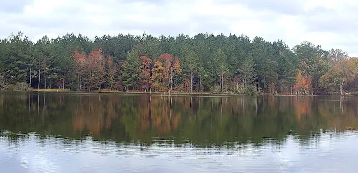 Longleaf Piney Resort 8