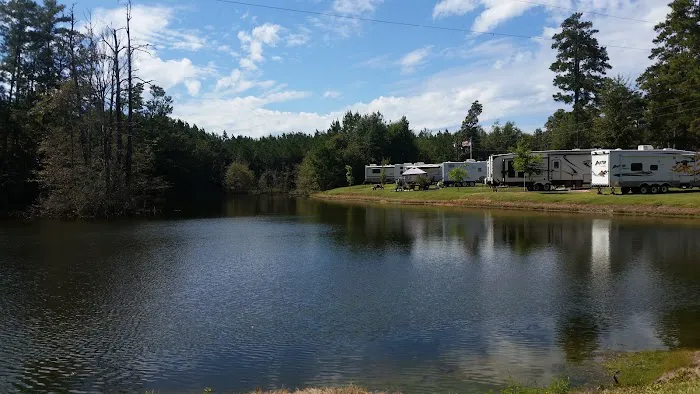 Longleaf Piney Resort 14