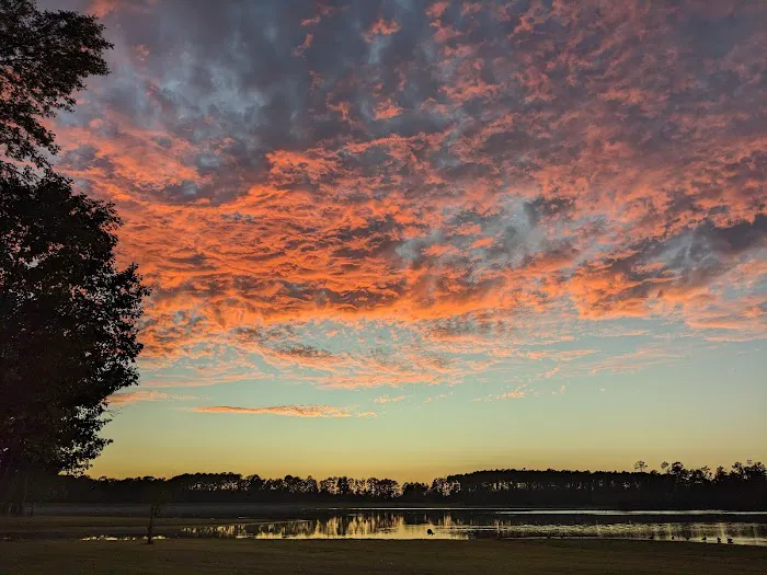 Bay Springs RV Park 5