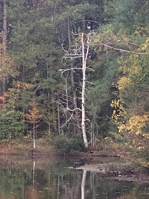 Bay Springs RV Park 10
