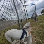 Seabourne Place Mobile Home Park