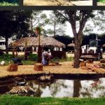 Coyote Cove RV Resort