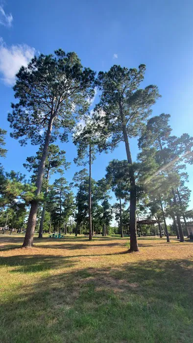 Camp Lost Pines 6