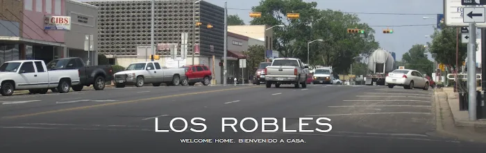 Los Robles Mobile Home Community 3