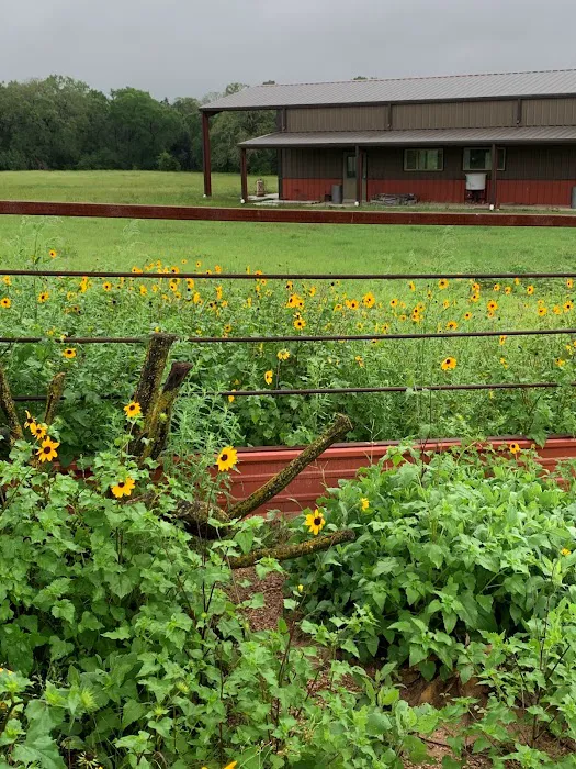 The Crossroads at 290 RV Park 1