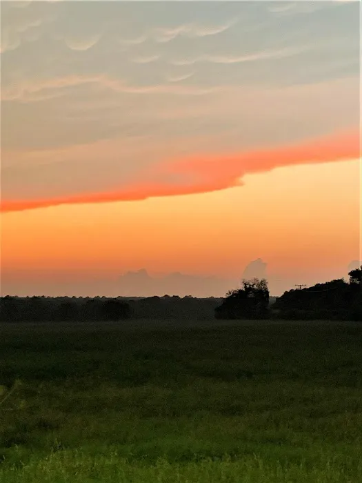 The Crossroads at 290 RV Park 5