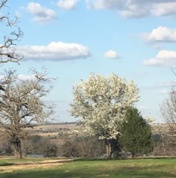 McDade RV Park 7
