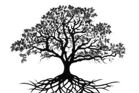 Oak Branch RV Park