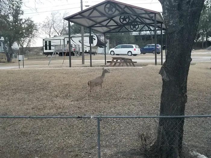 Cove RV Park 1