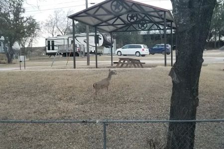 Cove RV Park