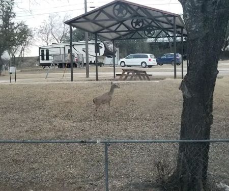 Cove RV Park