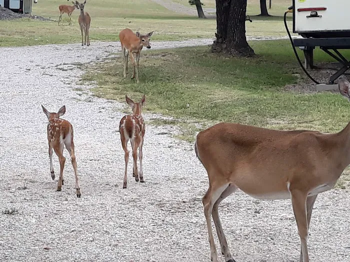 Cove RV Park 8