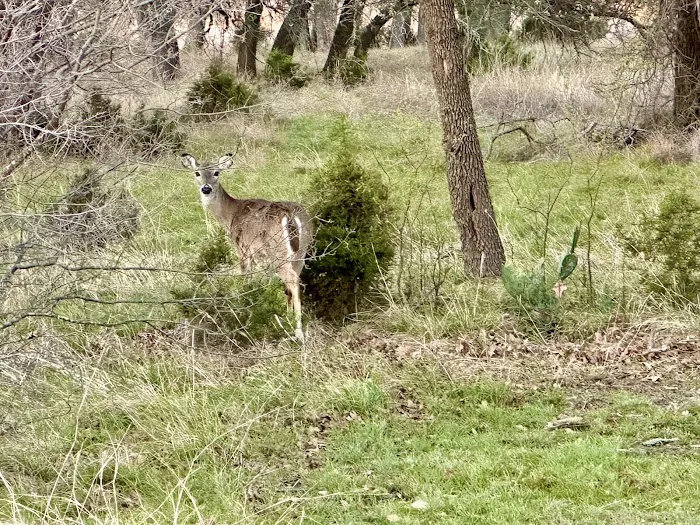 Union Grove Campground 5