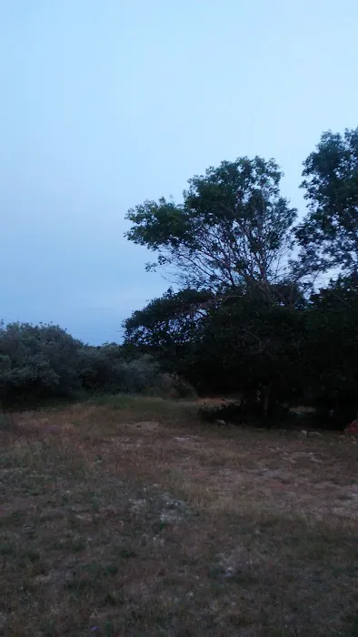 Gypsy Place RV Park 4