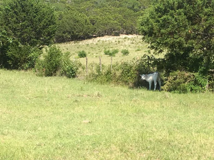 Union Park Campground 1