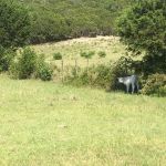 Union Park Campground
