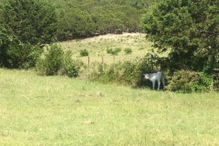 Union Park Campground