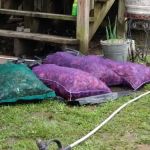 Longacre Trailer Park