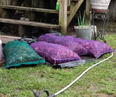 Longacre Trailer Park