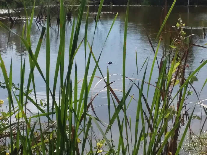 Channelview RV Park 8