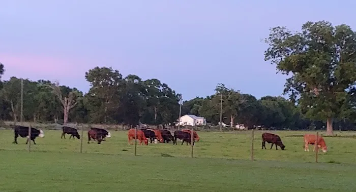 Audubon Acres RV Park 3