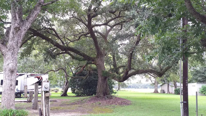 Audubon Acres RV Park 4