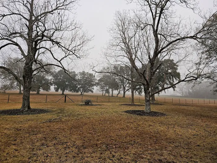 Audubon Acres RV Park 7