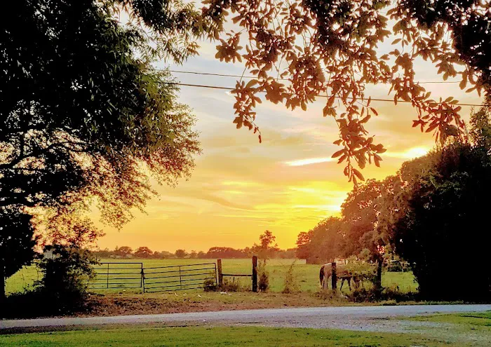 Audubon Acres RV Park 6