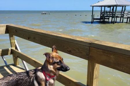 Beach City RV Park