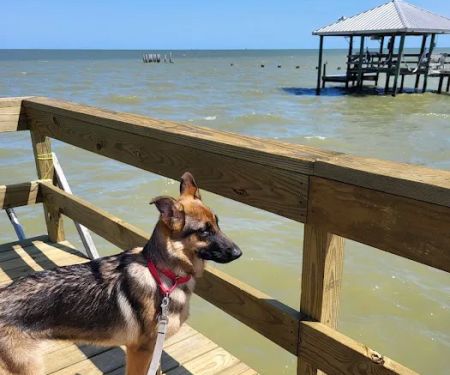 Beach City RV Park