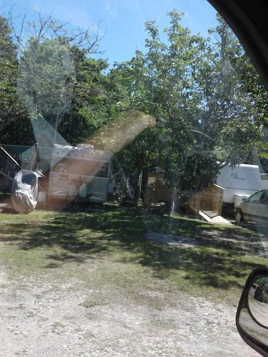 Palm Court RV Park 9