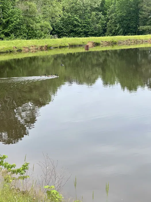 Mallards Landing RV Park 8