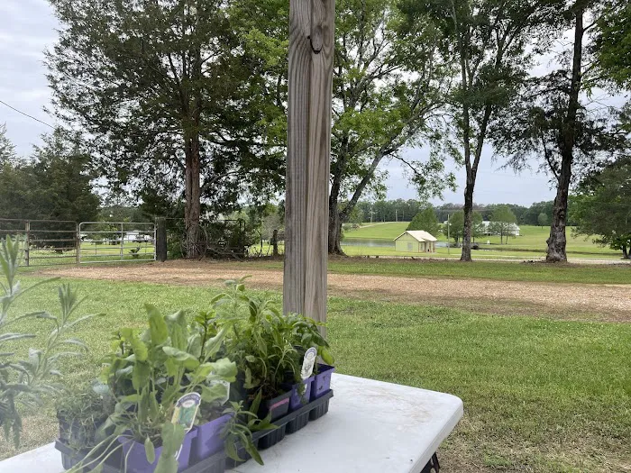 Mallards Landing RV Park 9