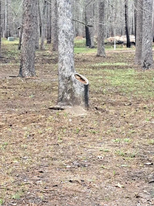 Marathon Campground 8