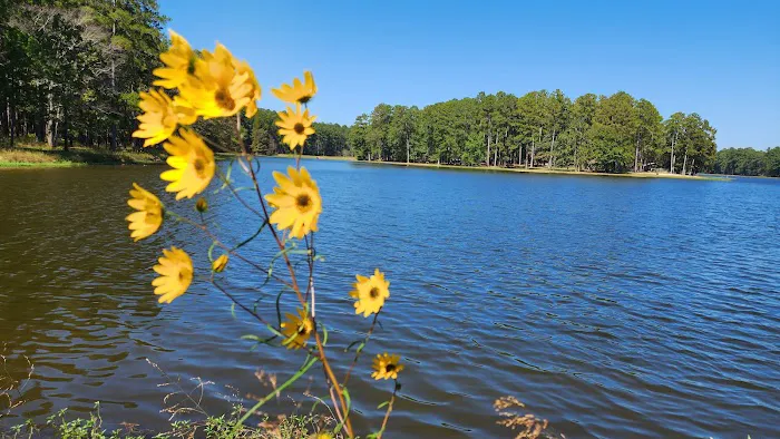 Marathon Campground 7