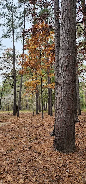 Marathon Campground 10