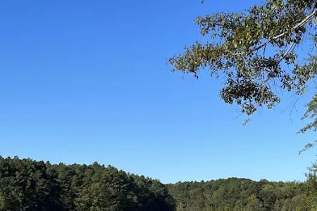 Turkey Creek Park