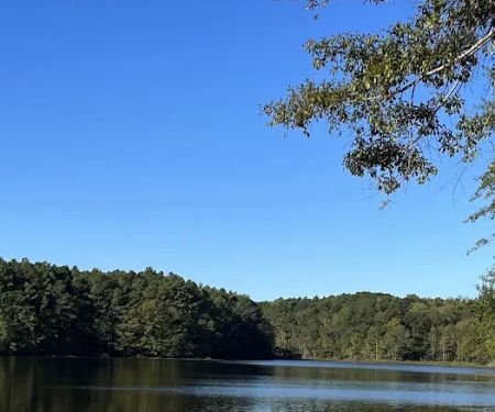 Turkey Creek Park