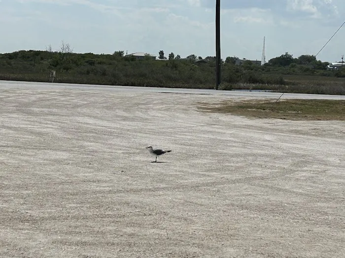 River City RV Park 2