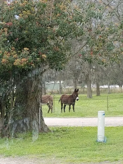 Shiloh RV Park 7
