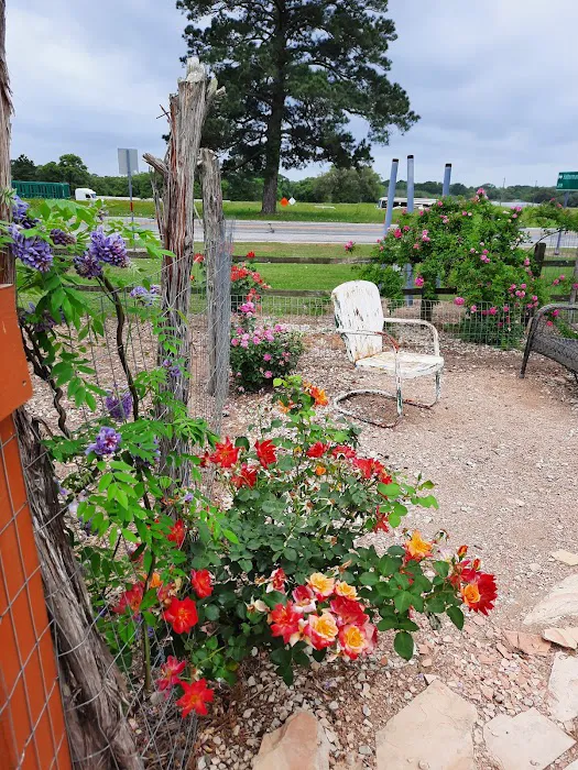Whispering Oaks RV Park 5