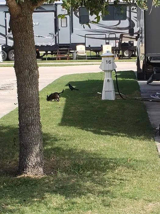 Pincher's RV Park 1