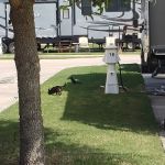 Pincher's RV Park