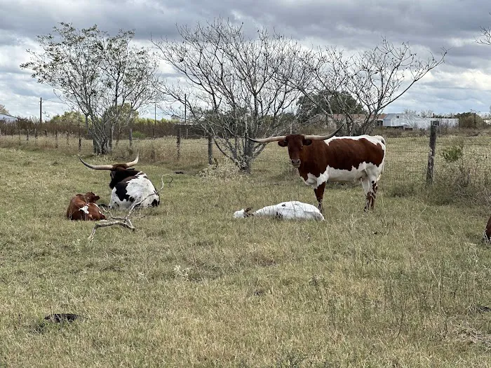 Lazy J RV Ranch 2