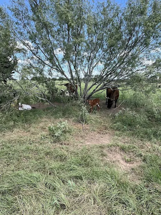 Lazy J RV Ranch 5